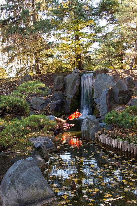 japanese gardens